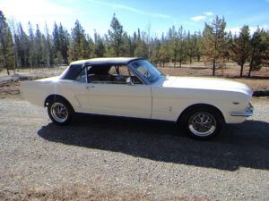 1965 Mustang white and black
