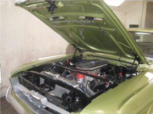 1967 Mustang Hardtop green